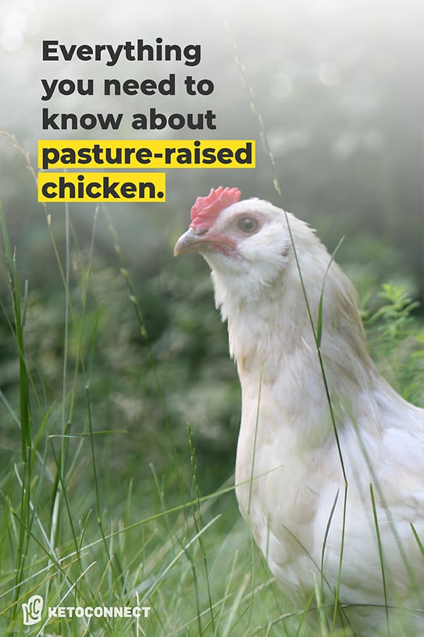 chicken with text overlay of everything you need to know about pasture raised chickens