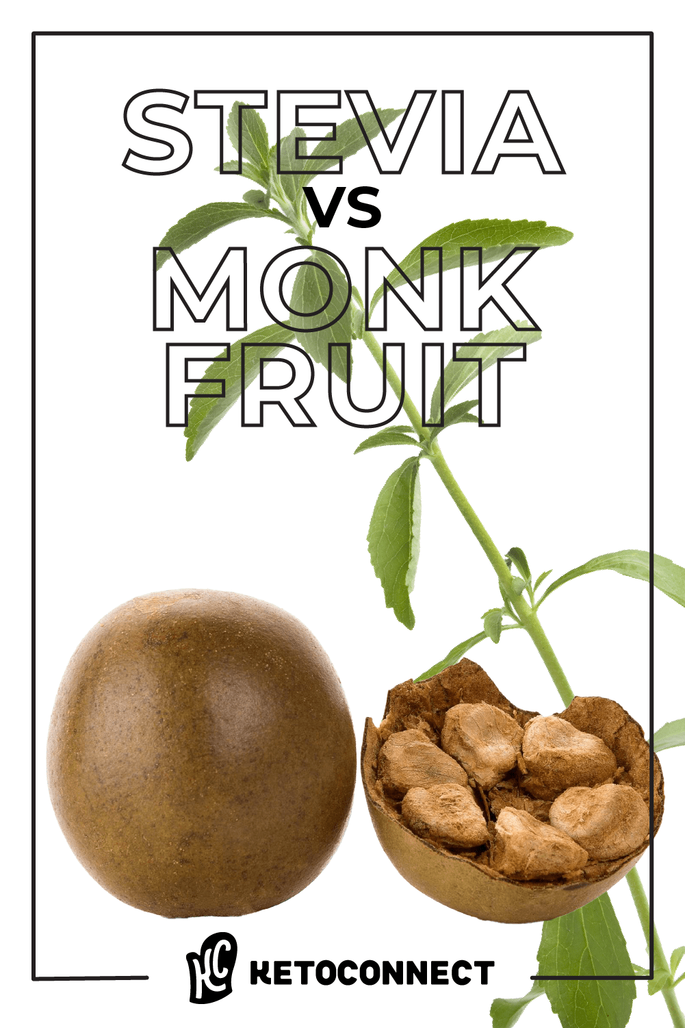 Stevia Vs Monk Fruit Which Is For Keto? KetoConnect
